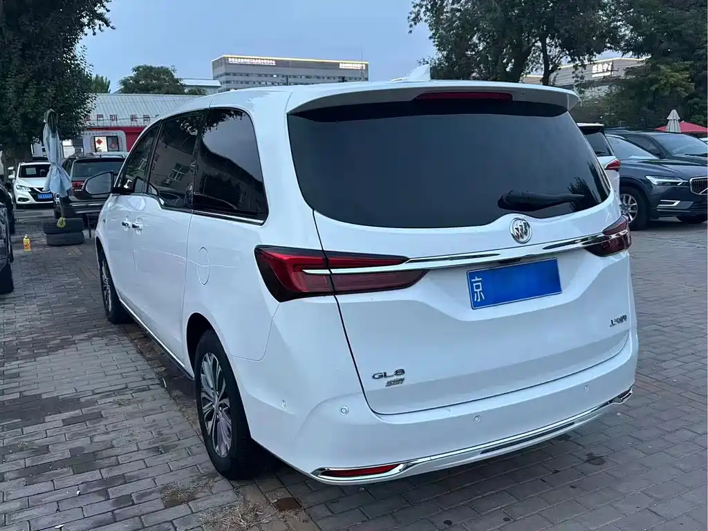 Buick GL8 — миниатюра 6