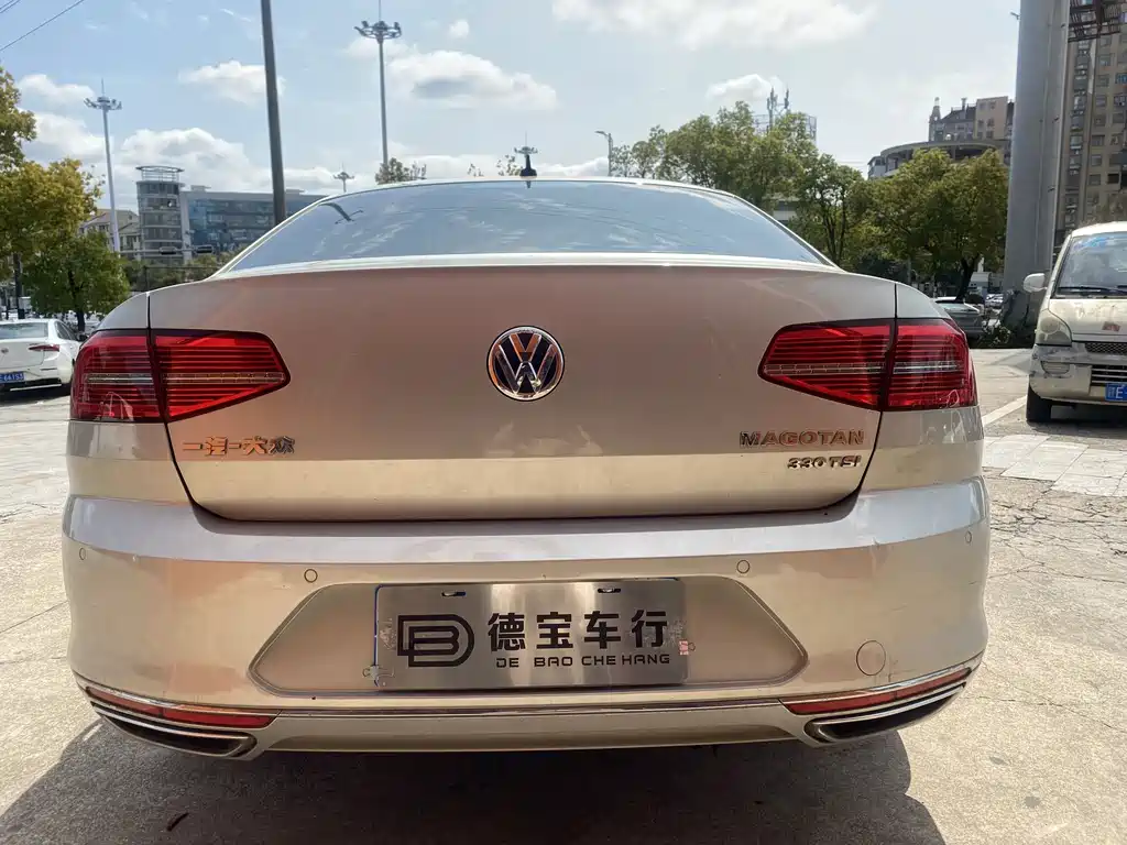 Volkswagen Magotan 2019 330TSI DSG Luxury VI