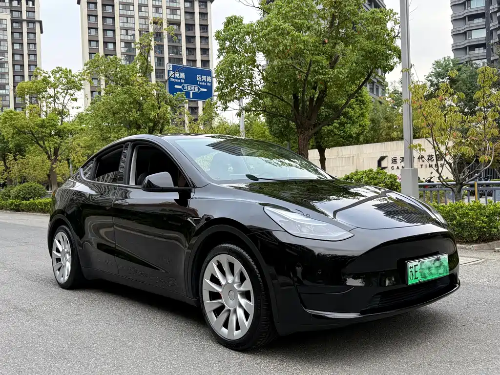 Tesla Model Y — миниатюра 3