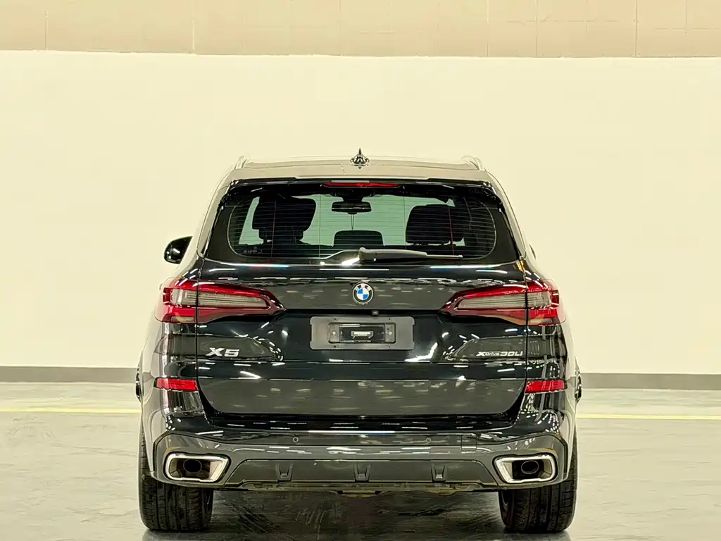 BMW X5 — миниатюра 10