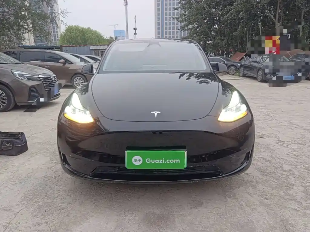 Tesla Model Y — миниатюра 3