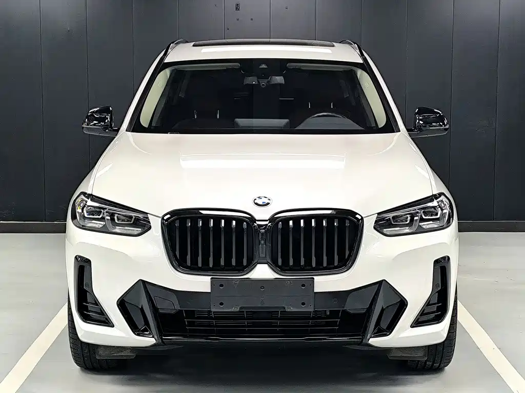 BMW X3 — миниатюра 2