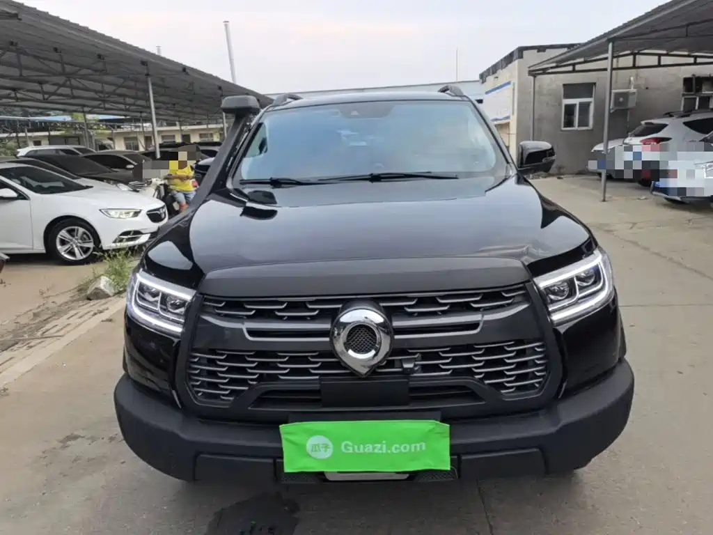 Great Wall Pao — миниатюра 3