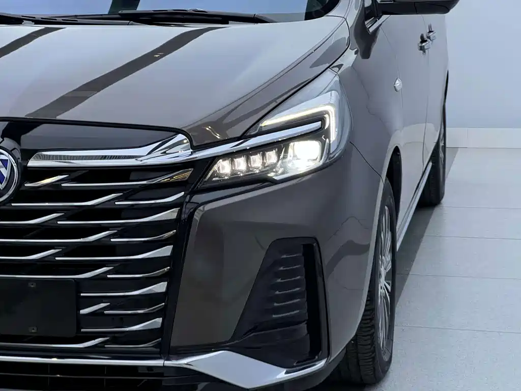 Buick GL8 — миниатюра 3