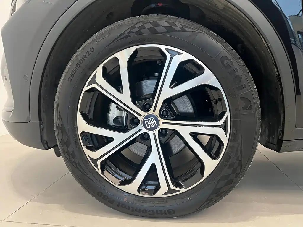BYD Tang New Energy — миниатюра 14