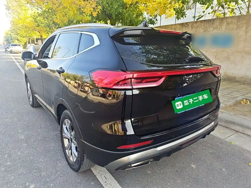 Haval H6 — миниатюра 5