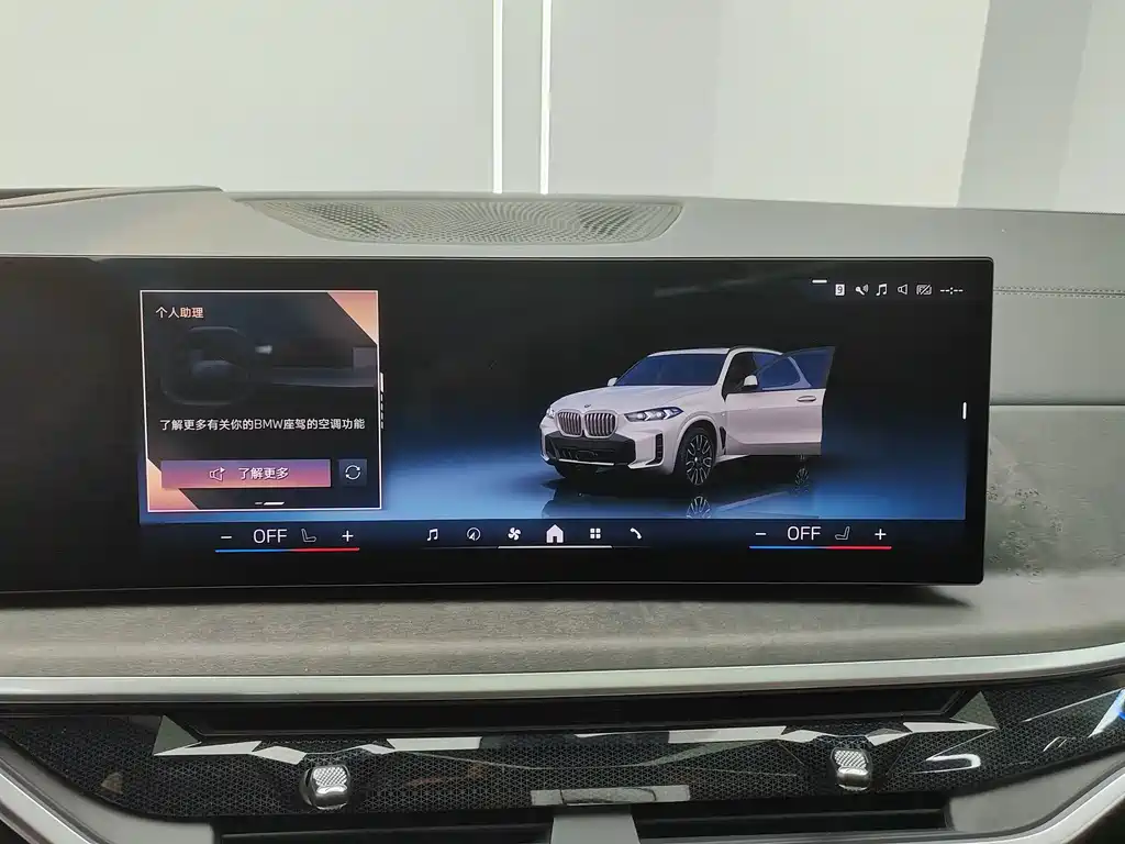 BMW X5 — миниатюра 15