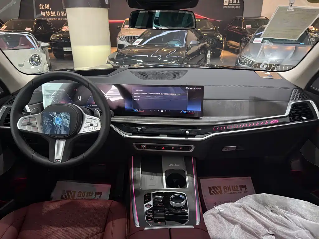 BMW X5 — миниатюра 11