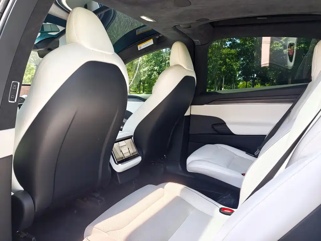 Tesla Model X 2023 Plaid