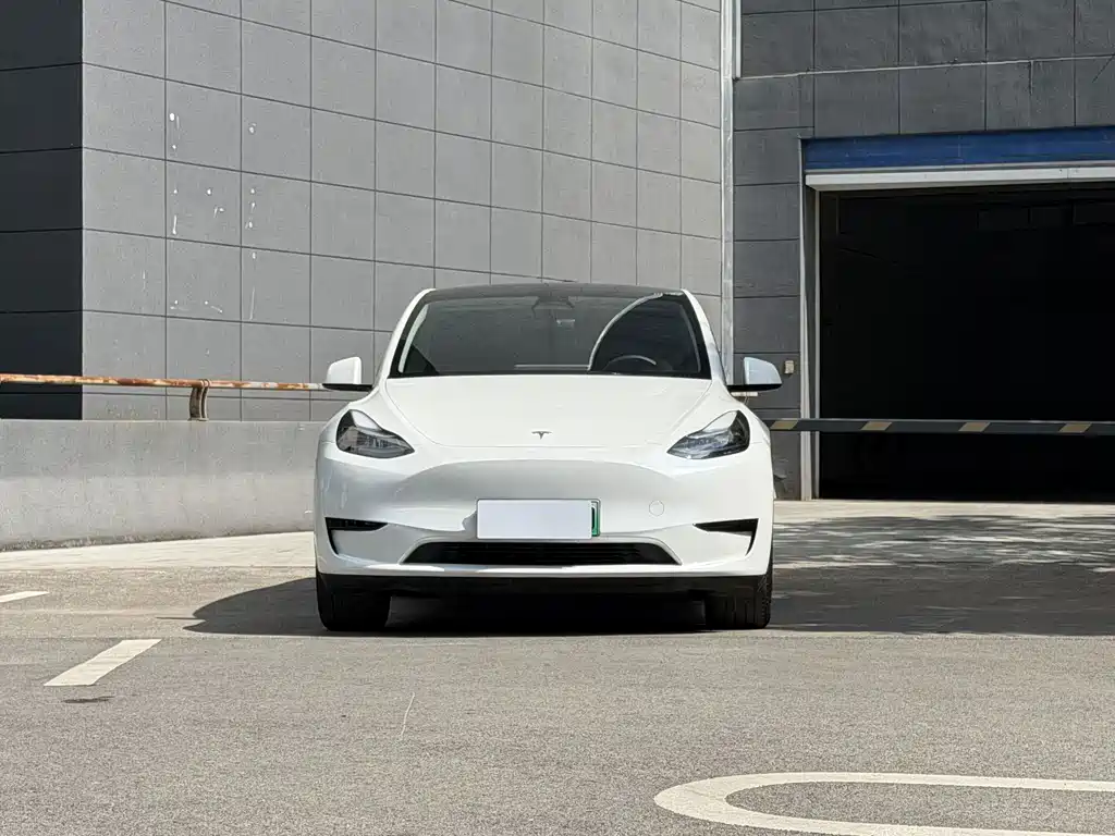 Tesla Model Y — миниатюра 2