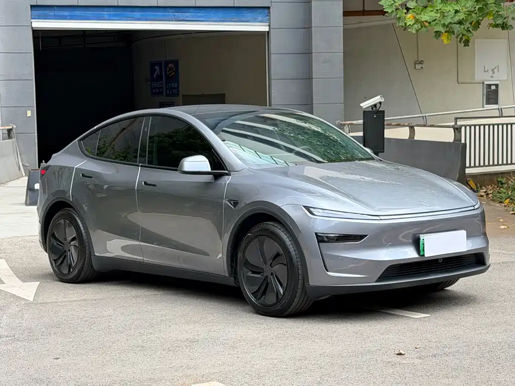 Tesla Model Y — миниатюра 3