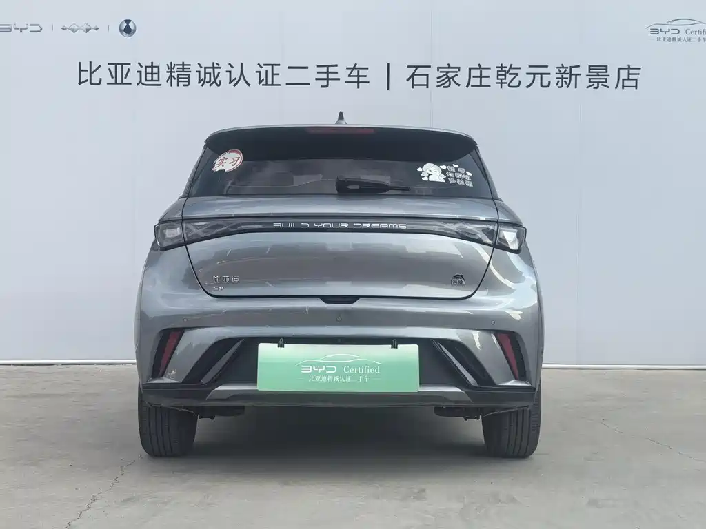 BYD Dolphin 2023 420km Fashion