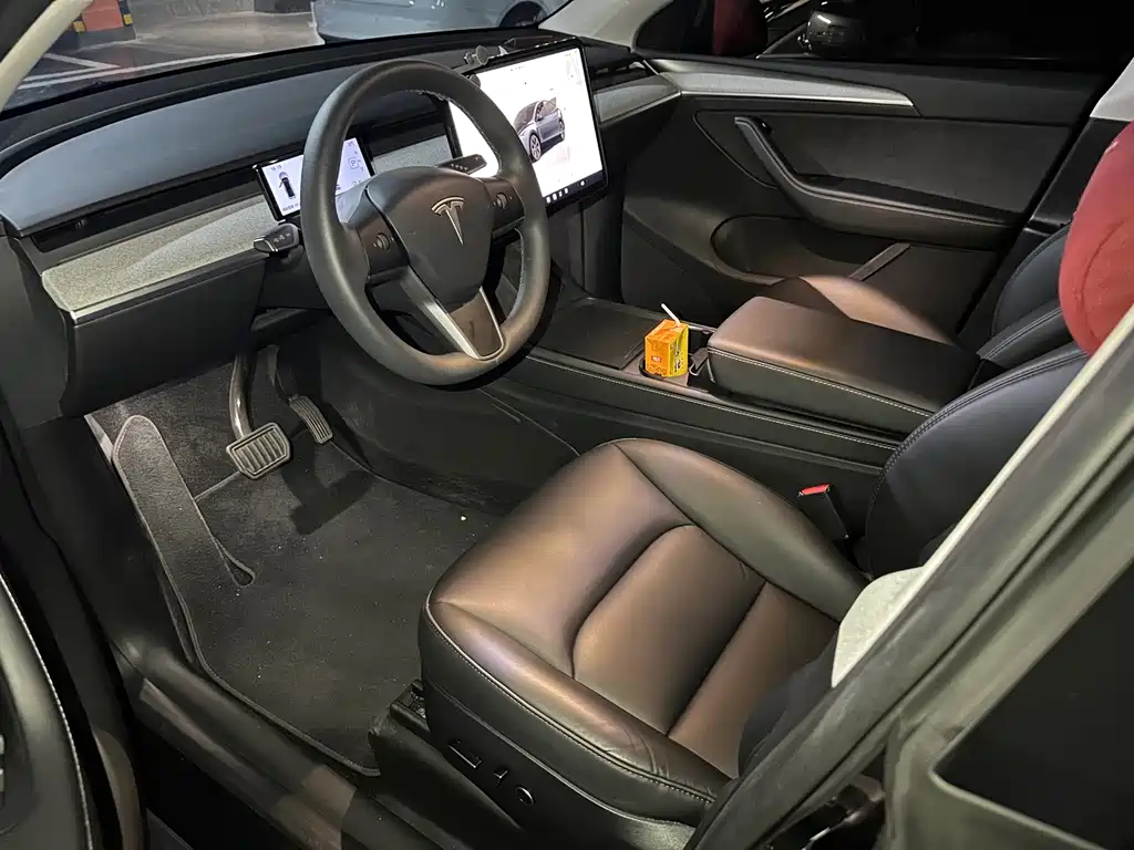 Tesla Model Y — миниатюра 4