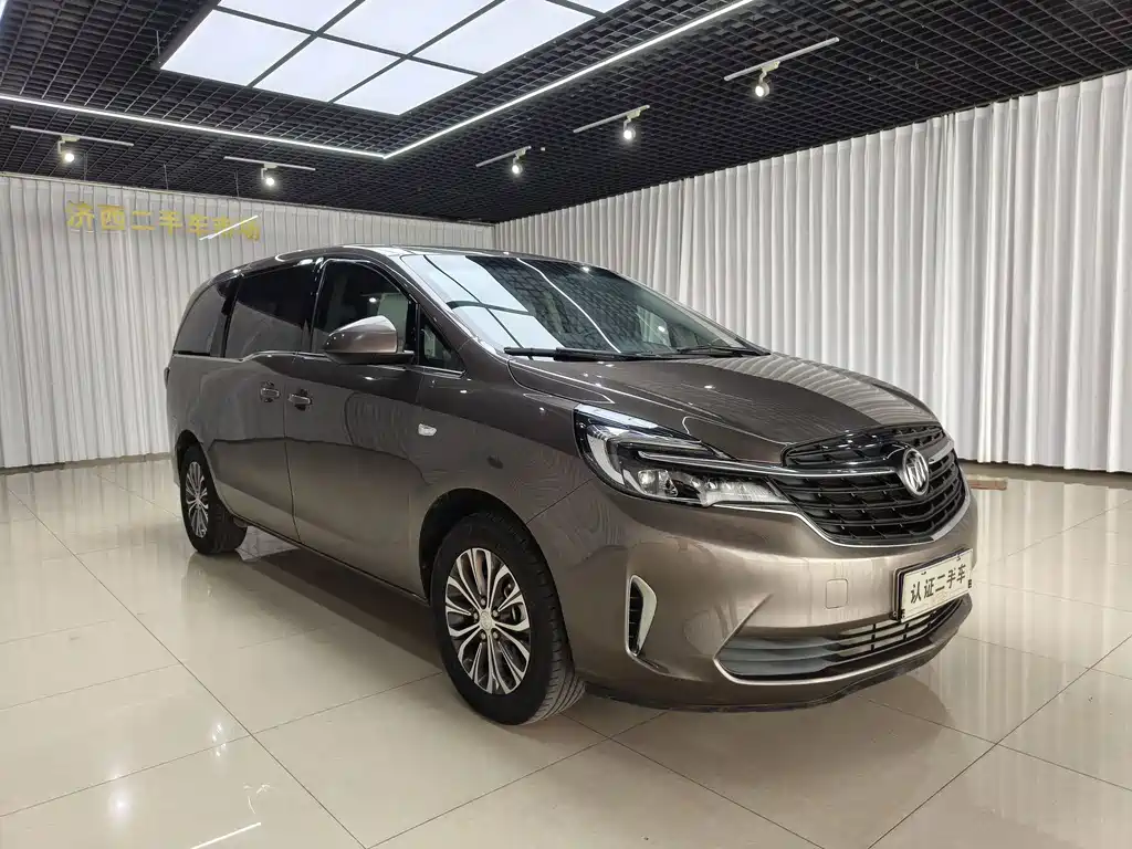Buick GL8 — миниатюра 3