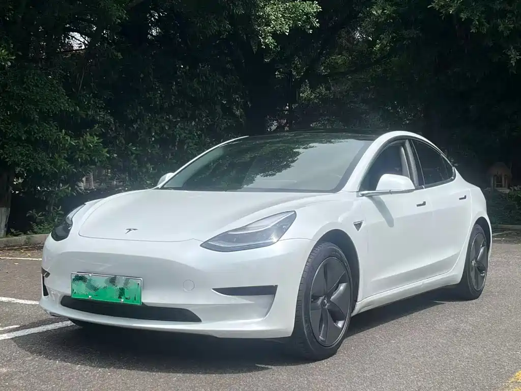 Tesla Model 3 2019