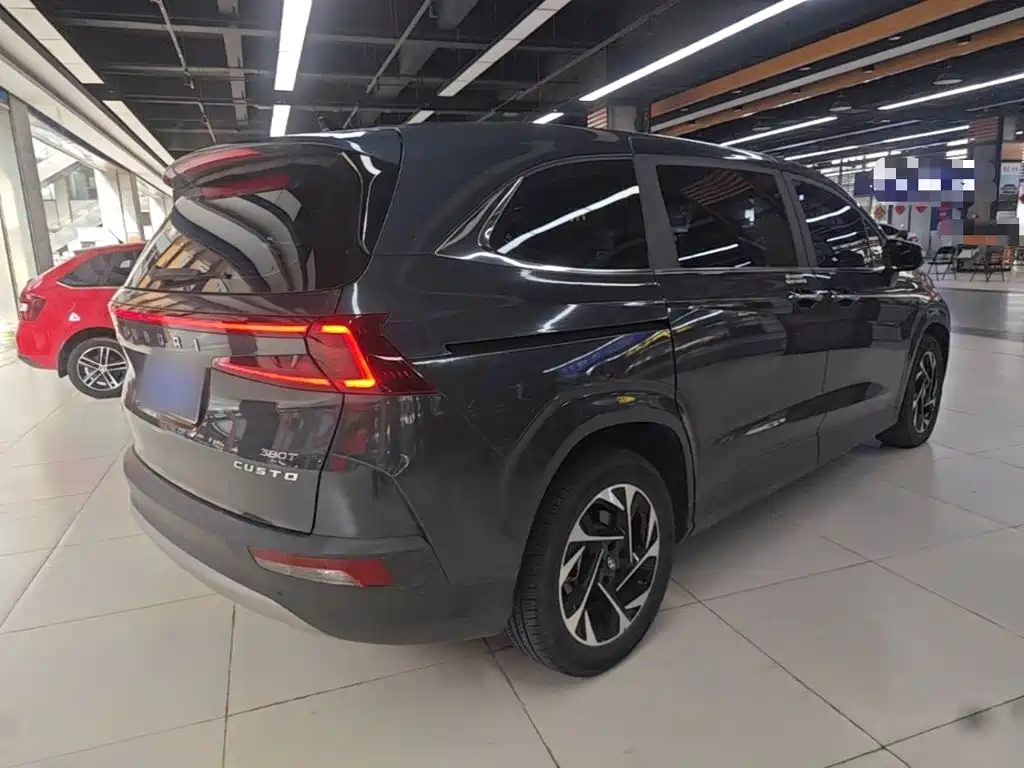 Hyundai Custo — миниатюра 7