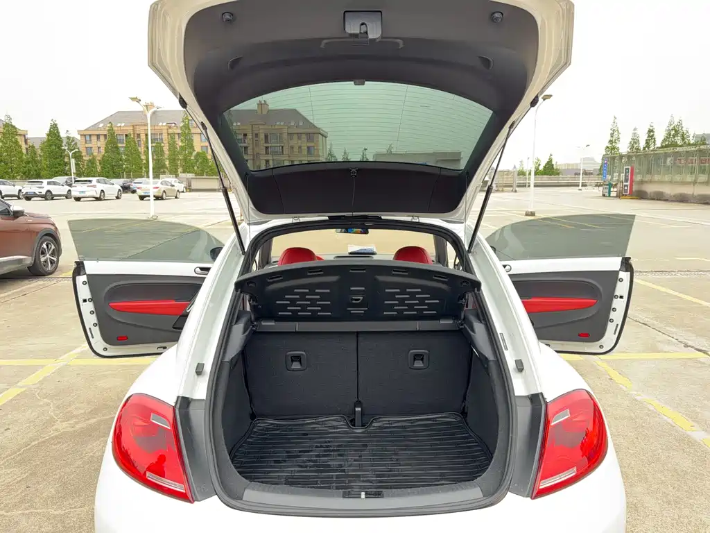 Volkswagen Beetle — миниатюра 13