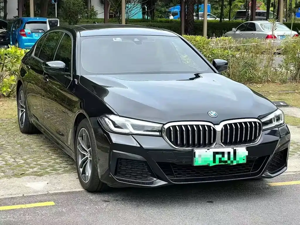 BMW 5 Series New Energy — миниатюра 3