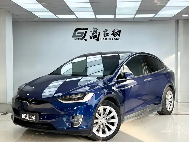TESLA MODEL X 2018