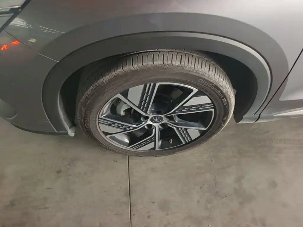 BYD Pro New Energy — миниатюра 23