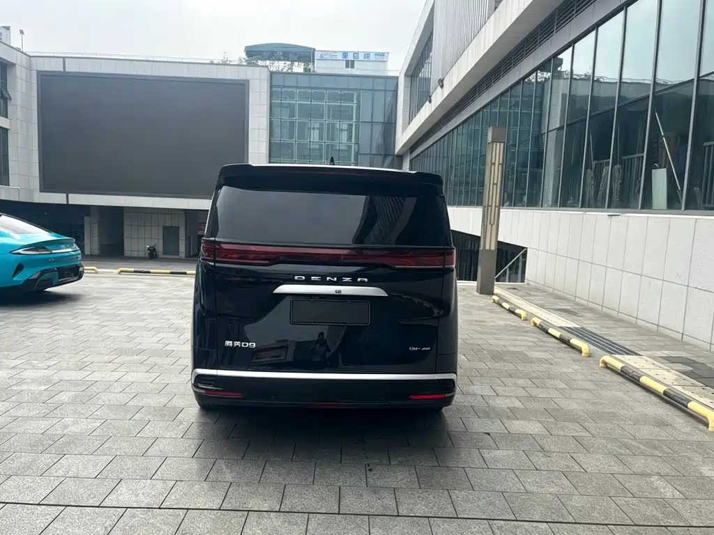 Denza Denza D9 — миниатюра 11