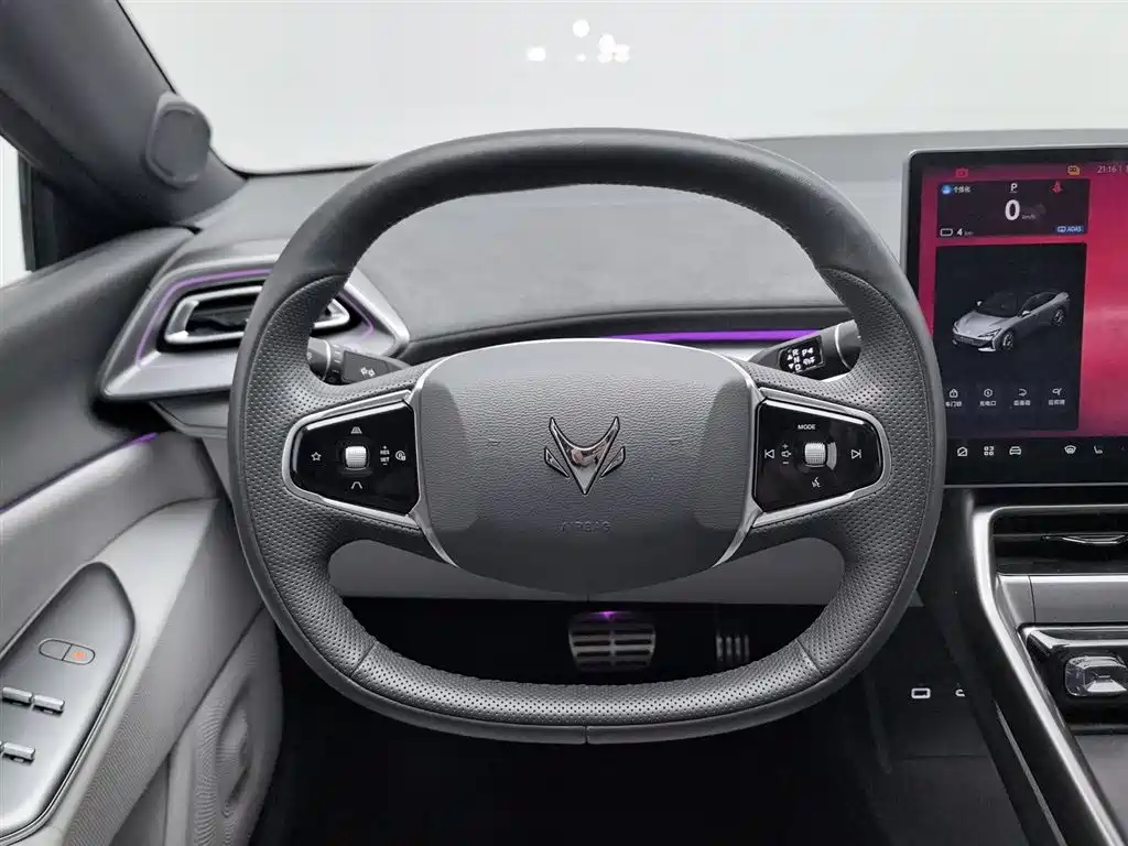 ARCFOX EXTREME FOX POLAR FOX ALPHA S5