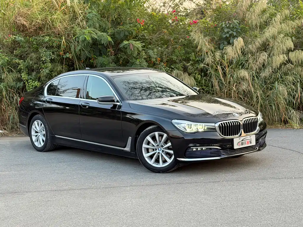 BMW 7 Series 7 2017 730Li Lead