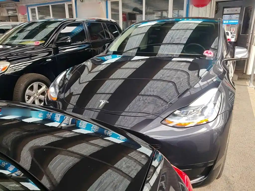 Tesla Model Y — миниатюра 3