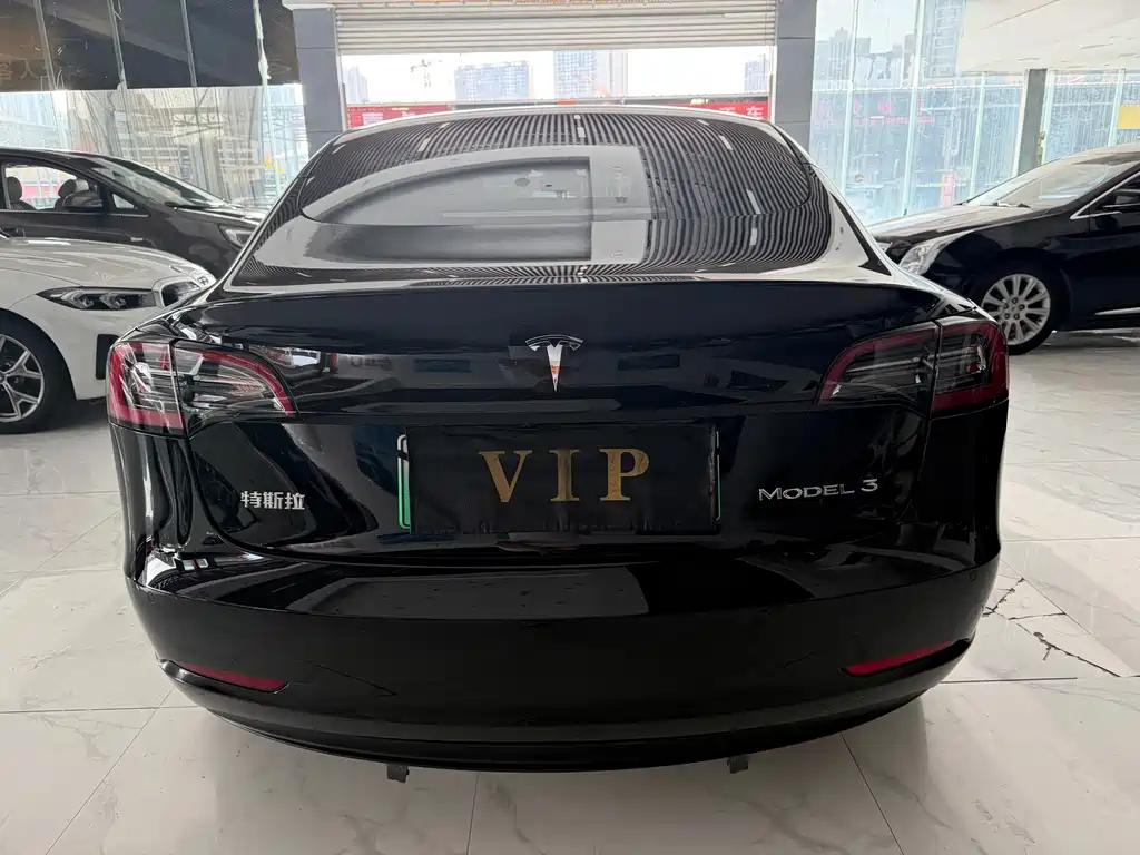 Tesla Model 3 — миниатюра 8