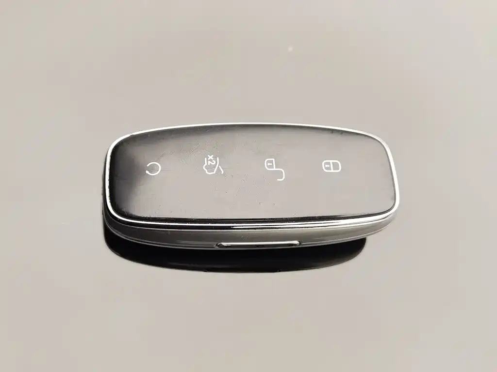 Denza Denza D9 — миниатюра 19