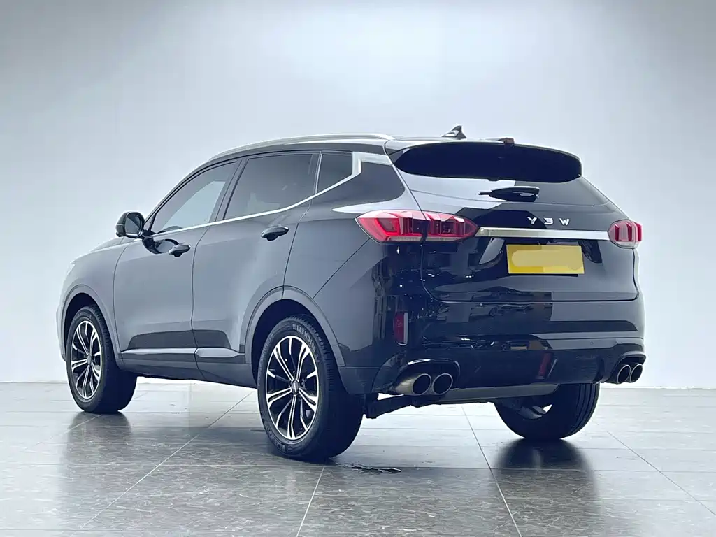 WEI PAI WEI BRAND VV6