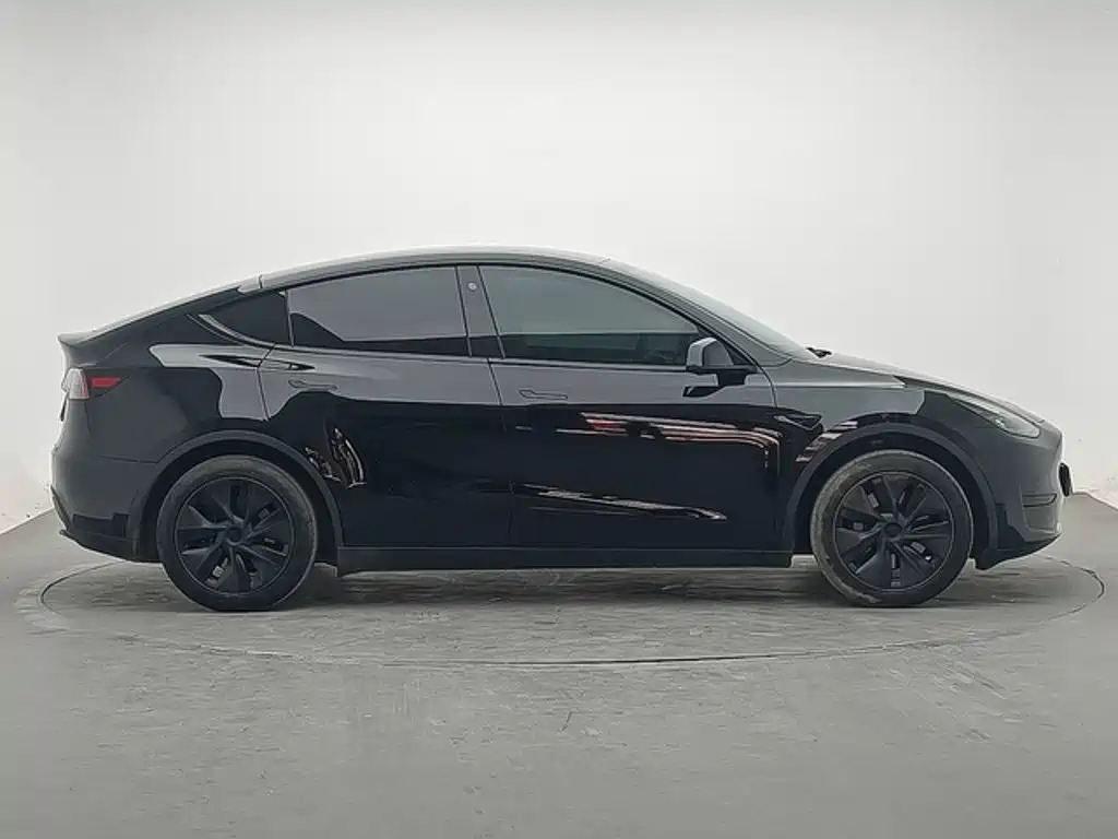 Tesla Model Y — миниатюра 3