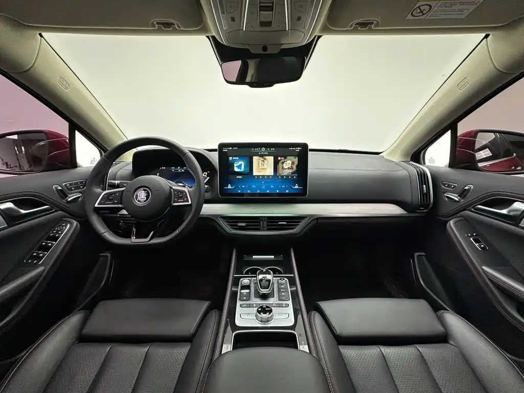 BYD Tang New Energy — миниатюра 21