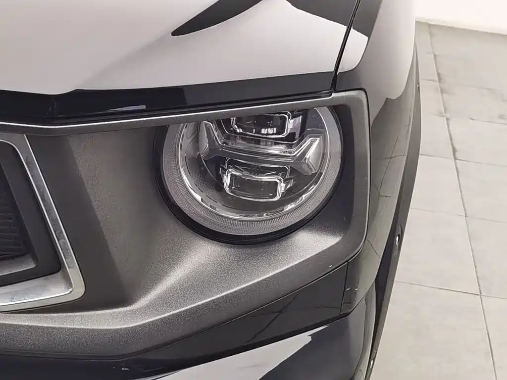 Haval Big Dog PLUS New Energy — миниатюра 7