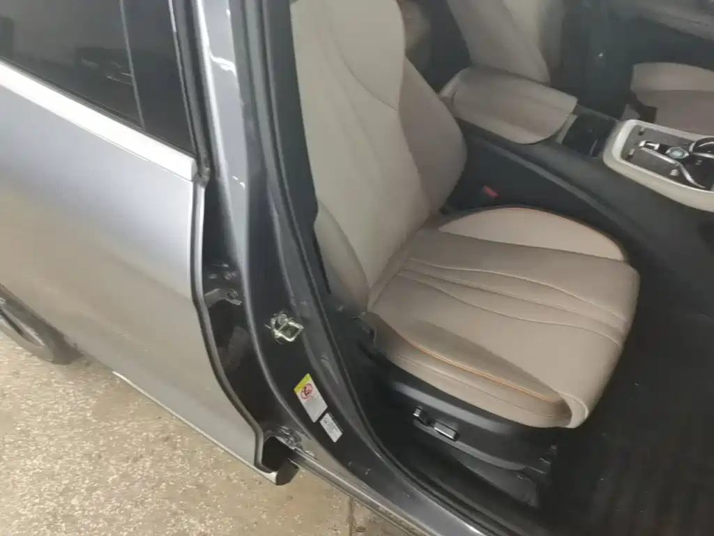 BYD Pro New Energy — миниатюра 25
