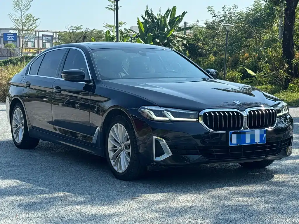 BMW 5 Series — миниатюра 3