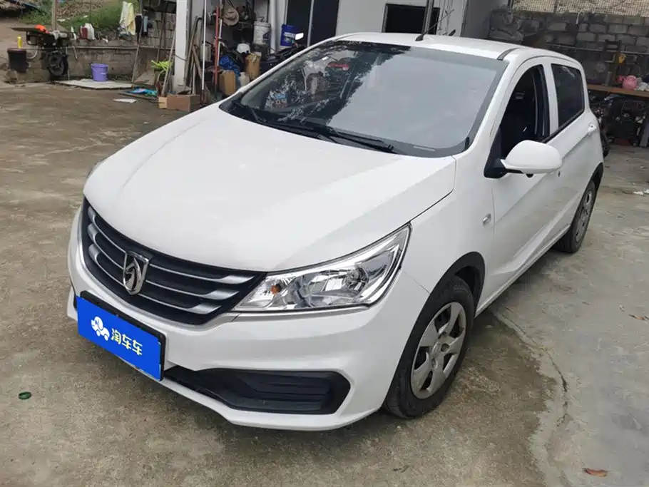 BAOJUN 310