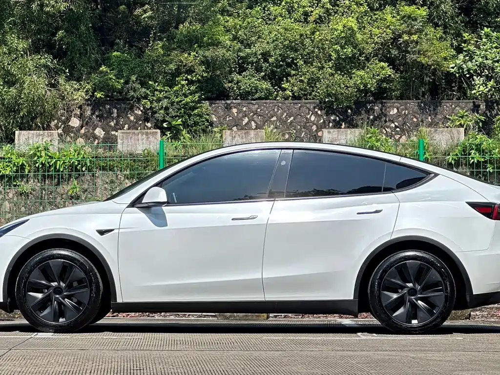 Tesla Model Y — миниатюра 17