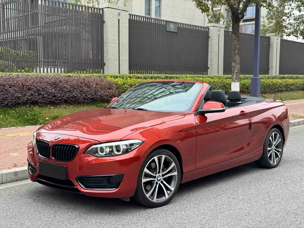BMW 2 Series (Import) 2021