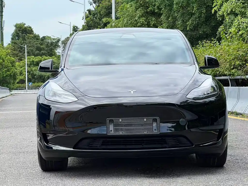 Tesla Model Y — миниатюра 2