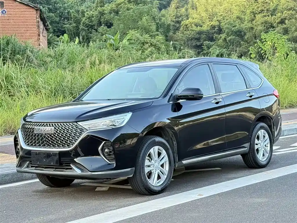 HAVAL  M6