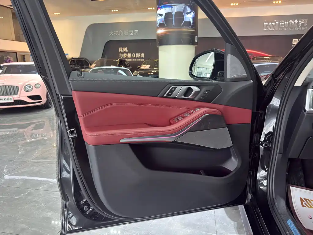 BMW X5 — миниатюра 9
