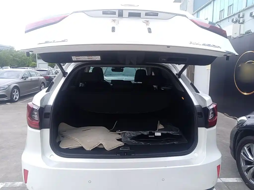 Lexus RX — миниатюра 15