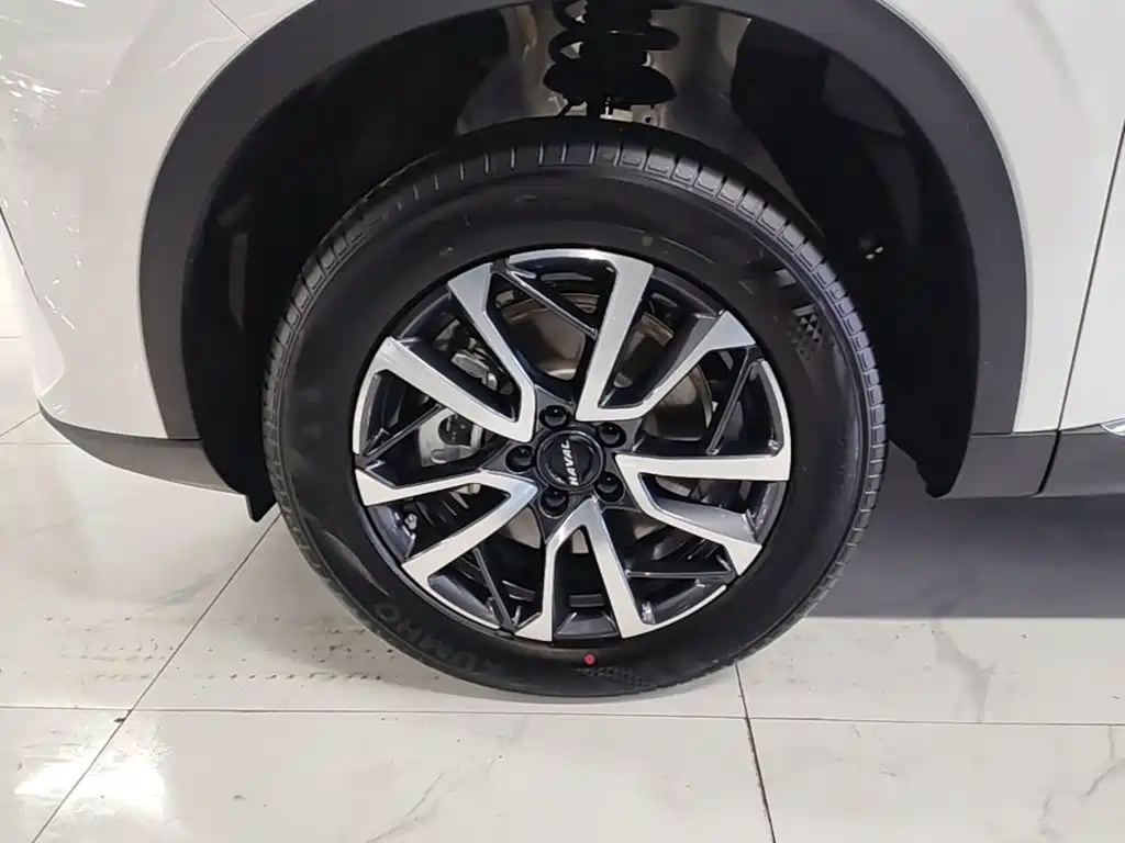 Haval H6 — миниатюра 23