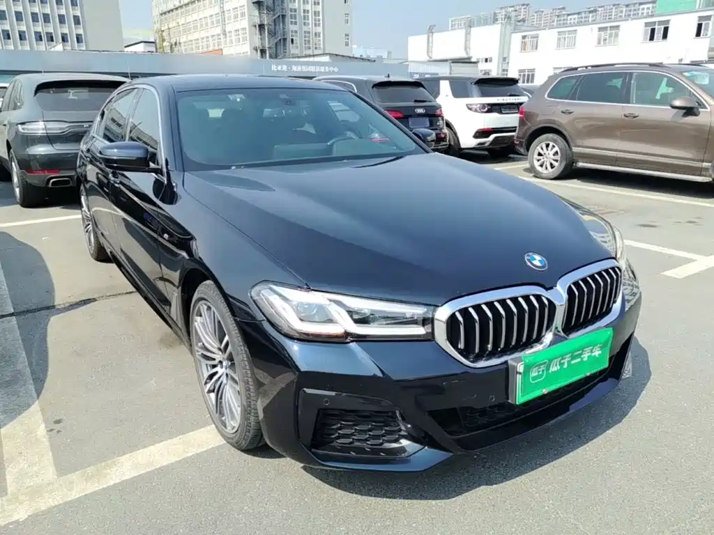 BMW 5 Series New Energy — миниатюра 4