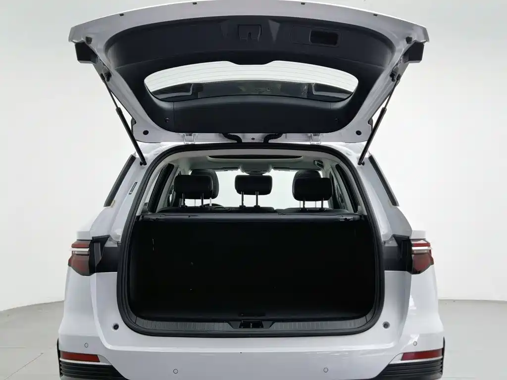 BYD Pro — миниатюра 16