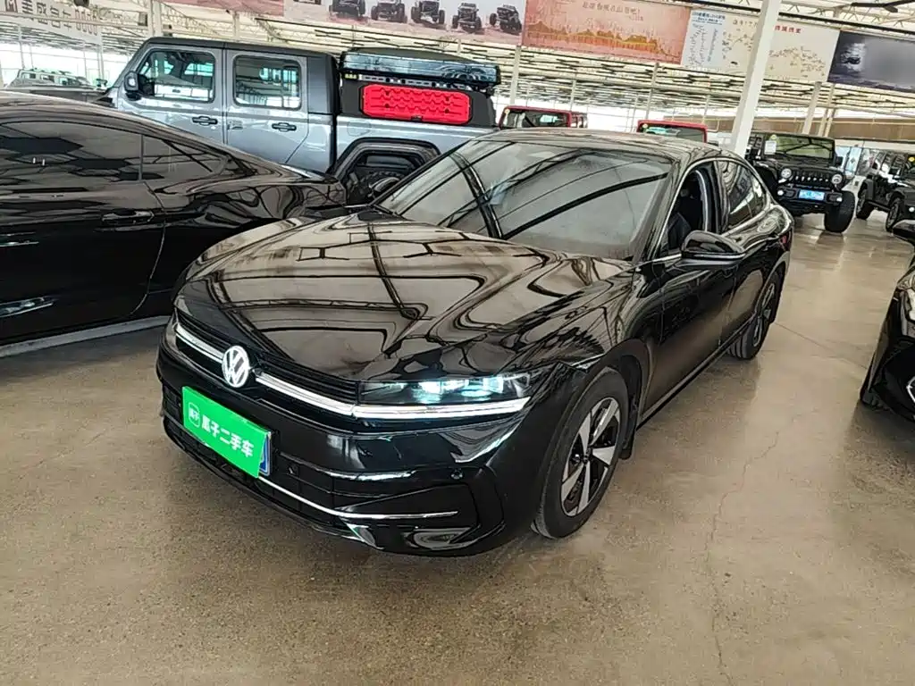 迈腾 2024款  300TSI DSG尊享版显眼包 2026