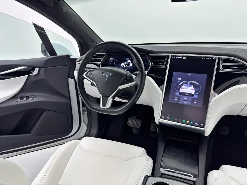 Tesla Model X — миниатюра 9
