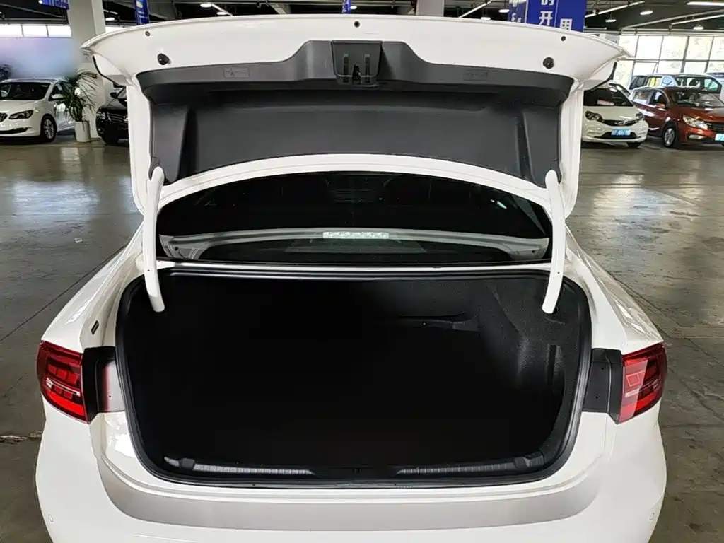 Volkswagen Lamando — миниатюра 19