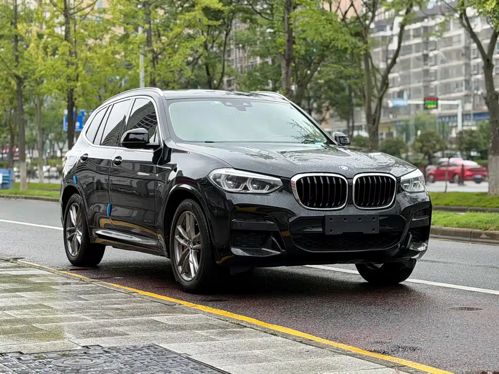 BMW X3 — миниатюра 3